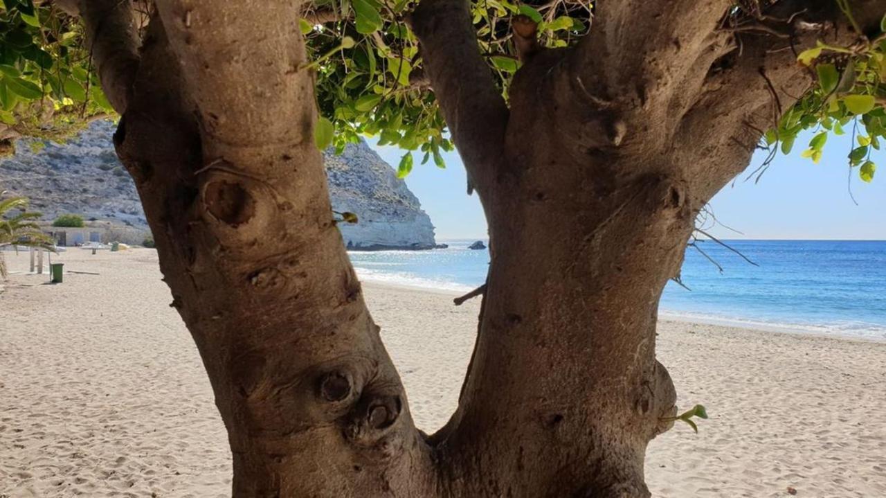 Casa El Algarrobico Villa Agua Amarga  Luaran gambar